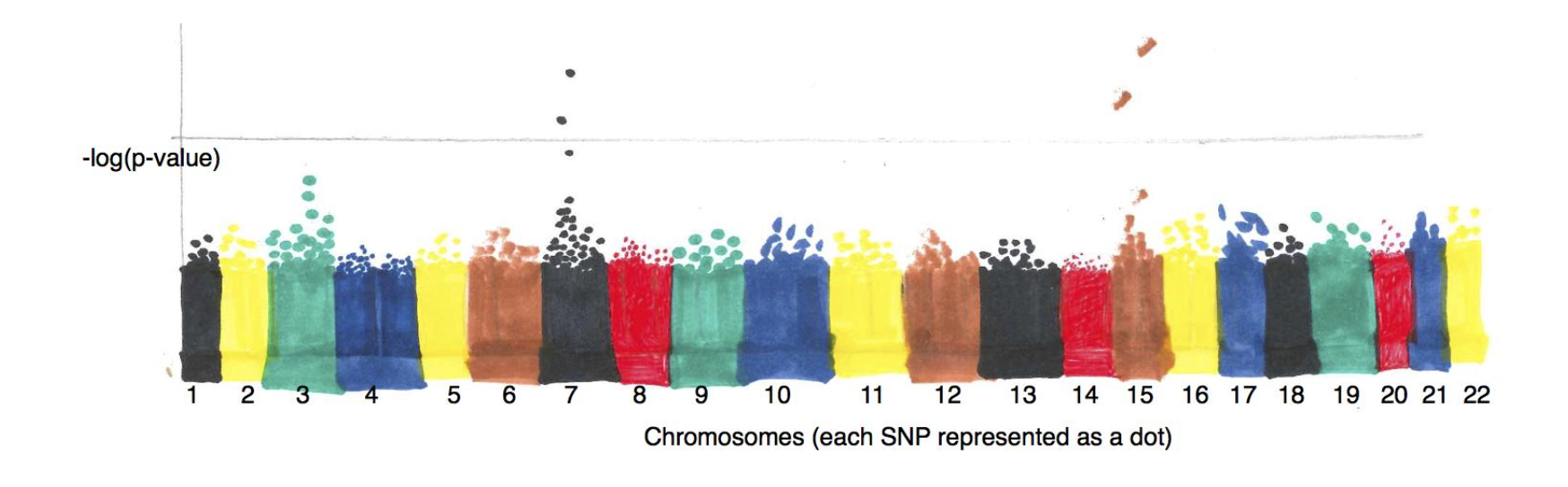 Genome Wide Association Studies (GWAS) – DNAdots By MiniPCR